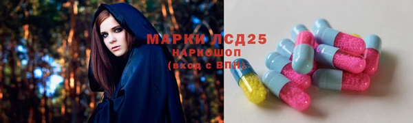 хмурый Абаза
