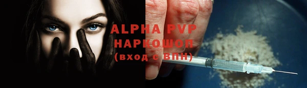 хмурый Абаза