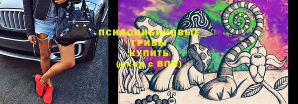 хмурый Абаза