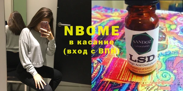 хмурый Абаза