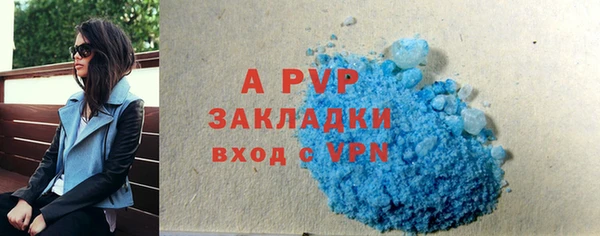 хмурый Абаза