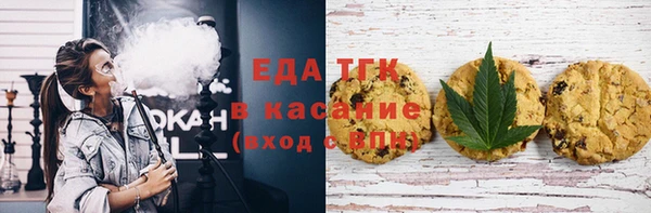 хмурый Абаза
