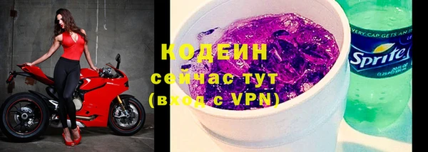 хмурый Абаза