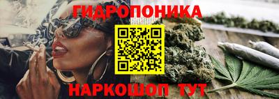 дмт Берёзовский