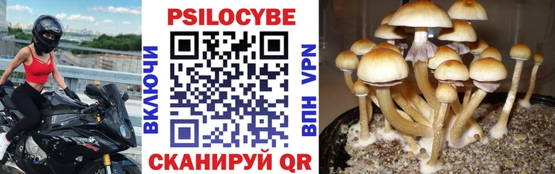 Псилоцибиновые грибы мицелий  как найти закладки  Димитровград 