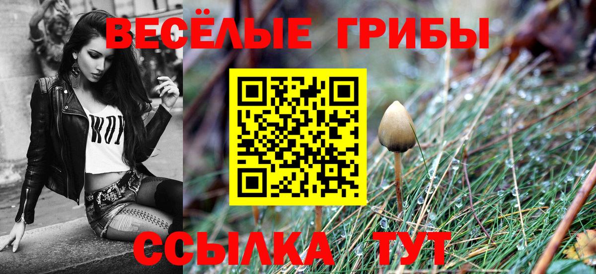 Галлюциногенные грибы ЛСД Димитровград