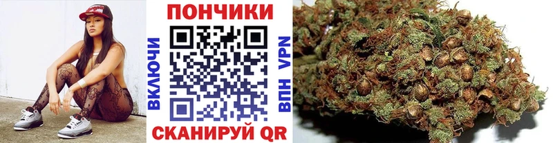 МАРИХУАНА SATIVA & INDICA  Димитровград 